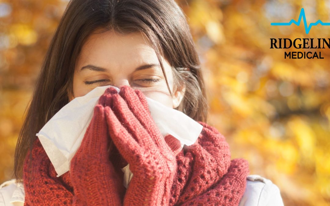 Fall Allergies-What you need to know!